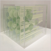 Color Tint - Clear Box Blue